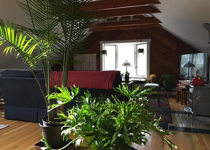 Urban Oasis In Hope Village