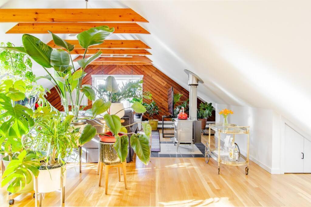 Apartment Urban Oasis In Hope Village Providence